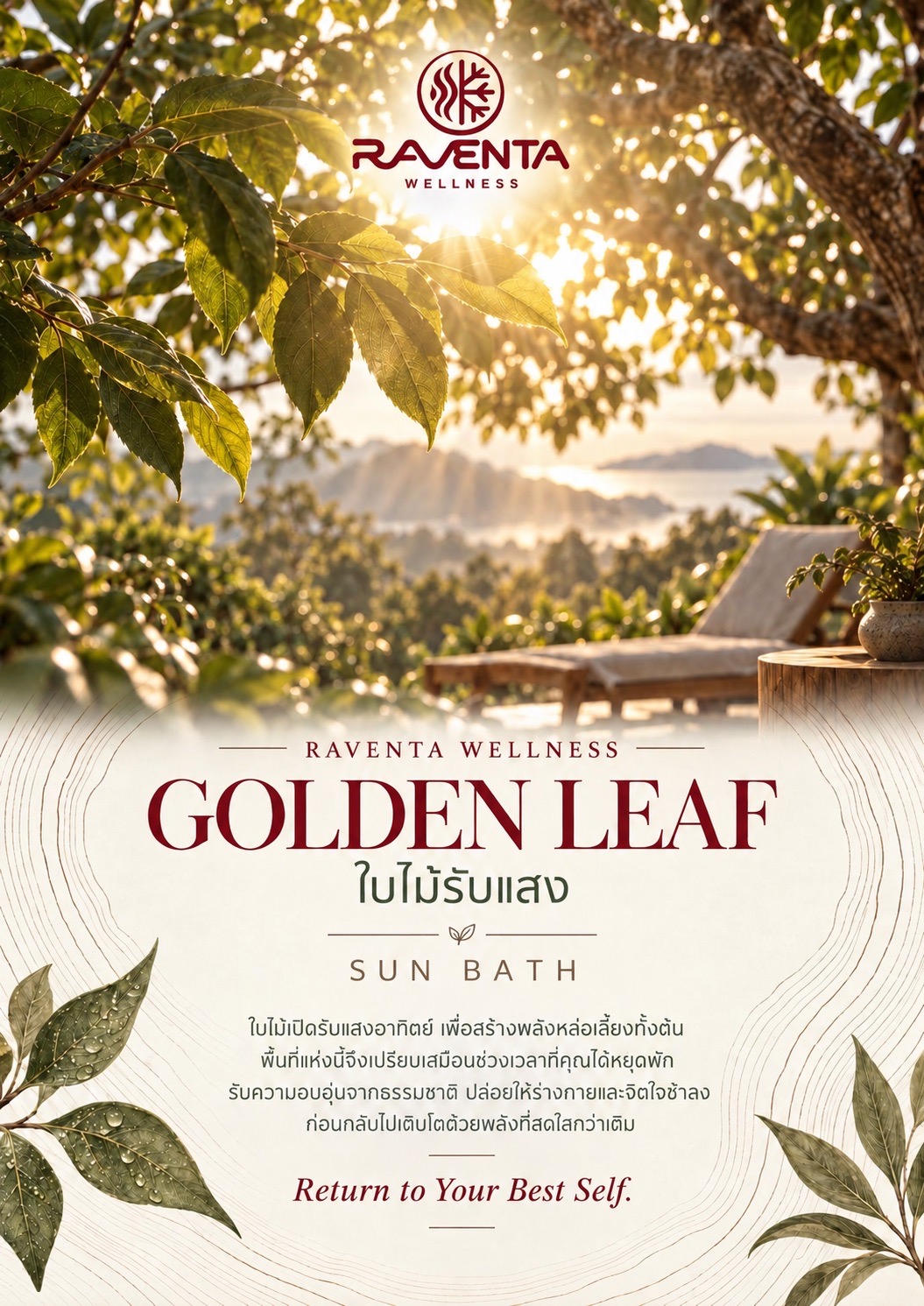 ใบไม้รับแสง