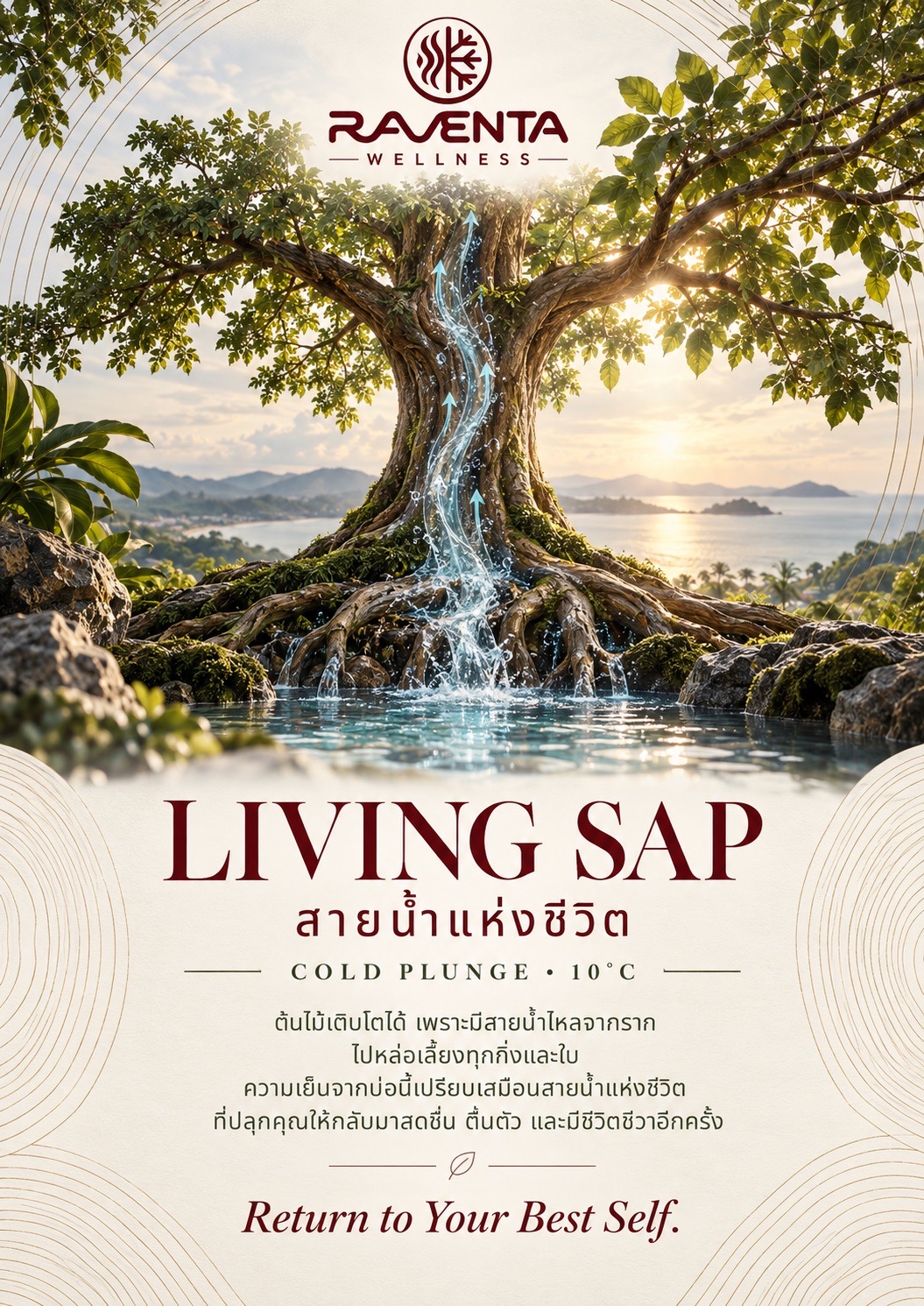 สายน้ำแห่งชีวิต
